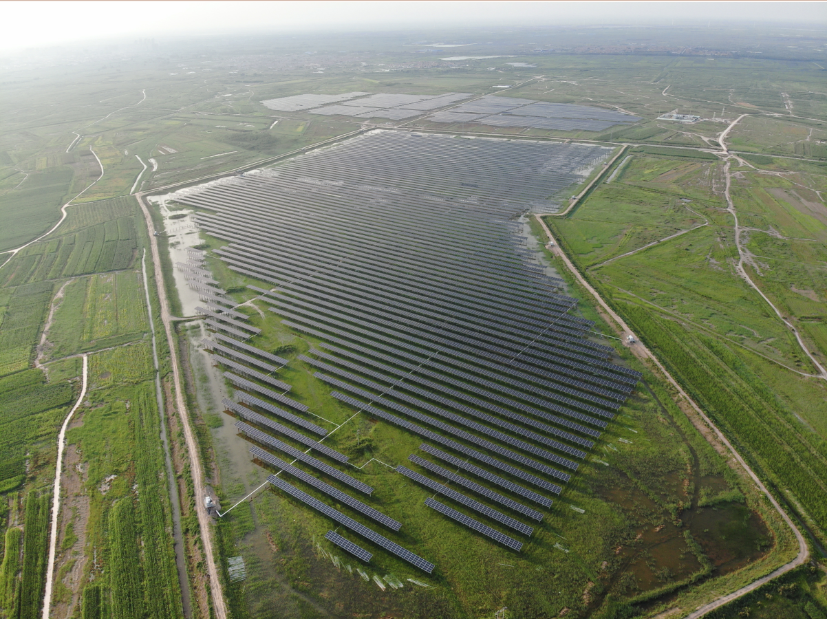 1718691730124036596.png ac73849693add06d63346eb17dbf041.png