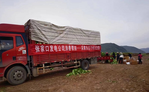 消費幫扶大白菜2.jpg